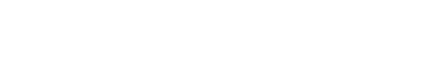 SOYUZ logotype